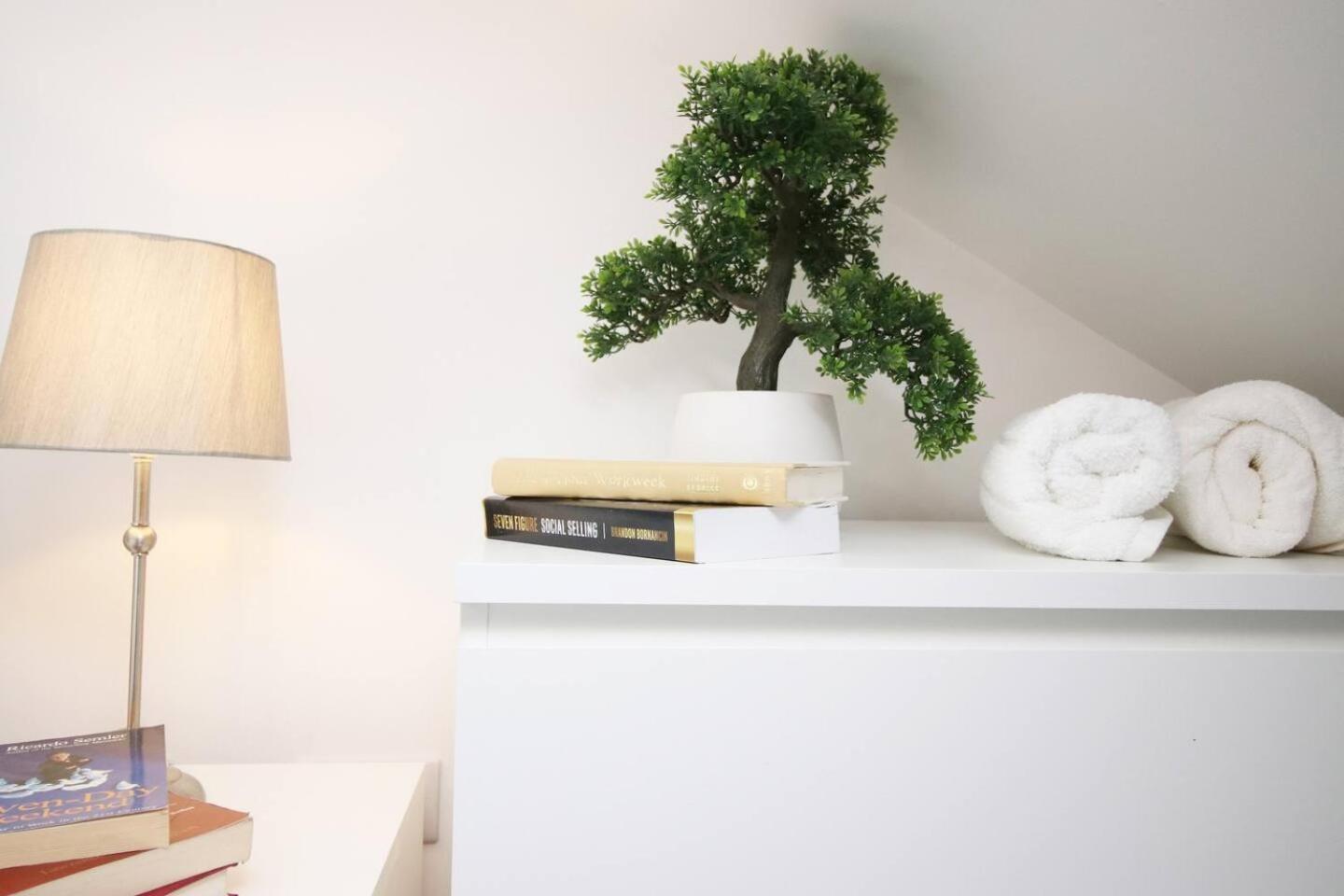 Modern Guesthouse, Fast Wi-Fi, Street Free Parking, Central, Fully Equipped Cardiff Zewnętrze zdjęcie